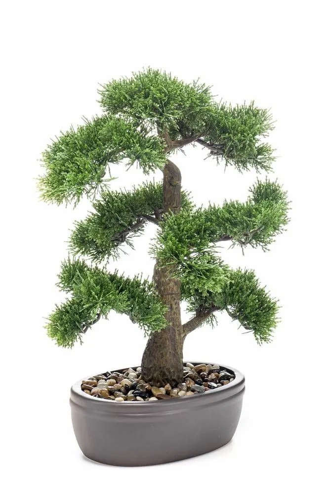 Cypresses | Artificial Bonsai Cedar Quartilla In Planter, 18"/45Cm Artificial Trees Bonsai trees