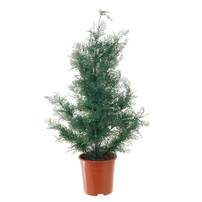 Cypresses | Artificial Cedar Tree Eliane, Green, 3Ft/90Cm Artificial Trees Cypresses