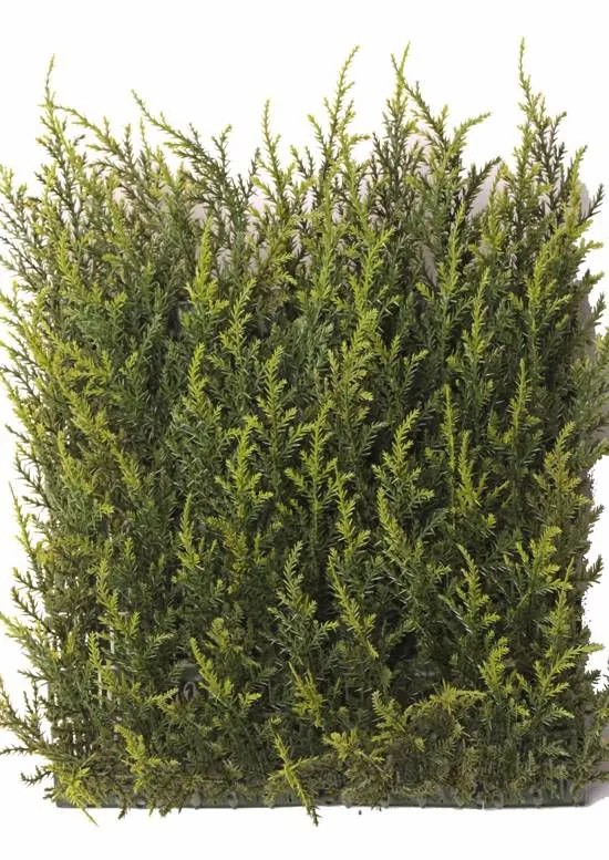 Cypresses | Artificial Cypress Hedge Element Neoh, Light Green, Crossdoor, 10"X10"/25X25Cm Artificial Trees Cypresses