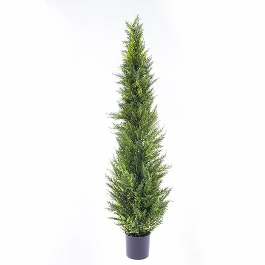 Cypresses | Fake Cedar Henriette, In A Planter, Green, 5Ft/150Cm Artificial Trees Cypresses