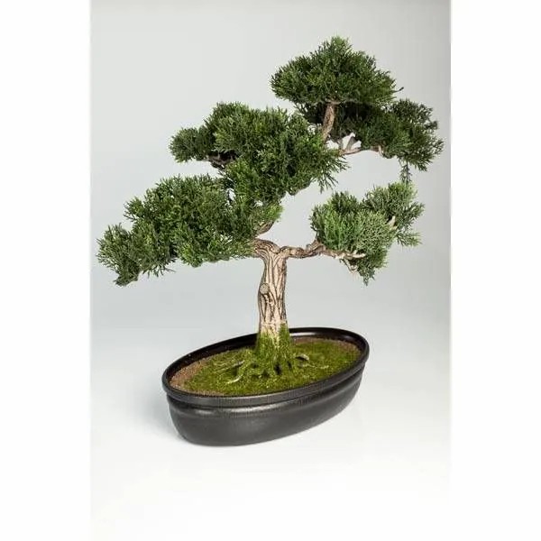 Cypresses | Plastic Bonsai Cedar Jarno, Aerial Roots, Decorative Planter, 16"/40Cm Artificial Trees Bonsai trees