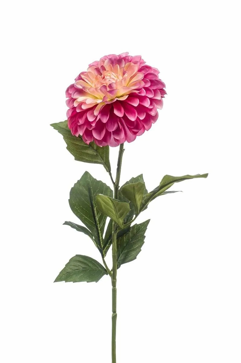 Dahlia | Artificial Flower Dahlia Burbuja, Fuchsia-Cream, 24"/60Cm Artificial Flowers Dahlia