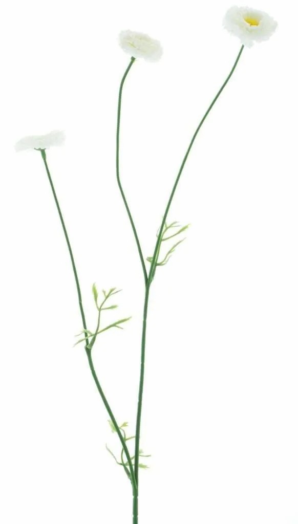 Daisies | Decorative Flower Branch Bellis Niksa, Cream, 22"/55Cm Artificial Flowers Daisies