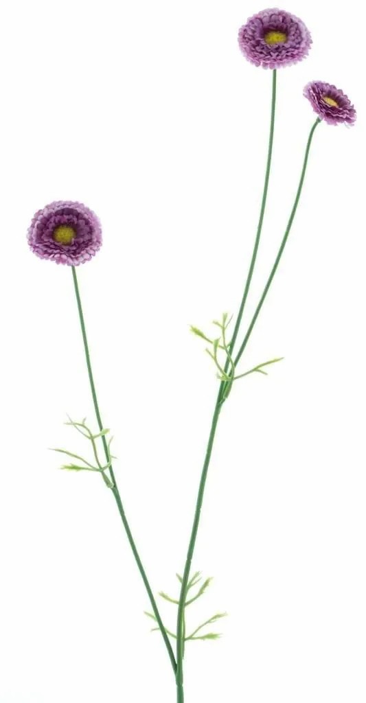 Daisies | Decorative Flower Branch Bellis Niksa, Dark Purple, 22"/55Cm Artificial Flowers Daisies