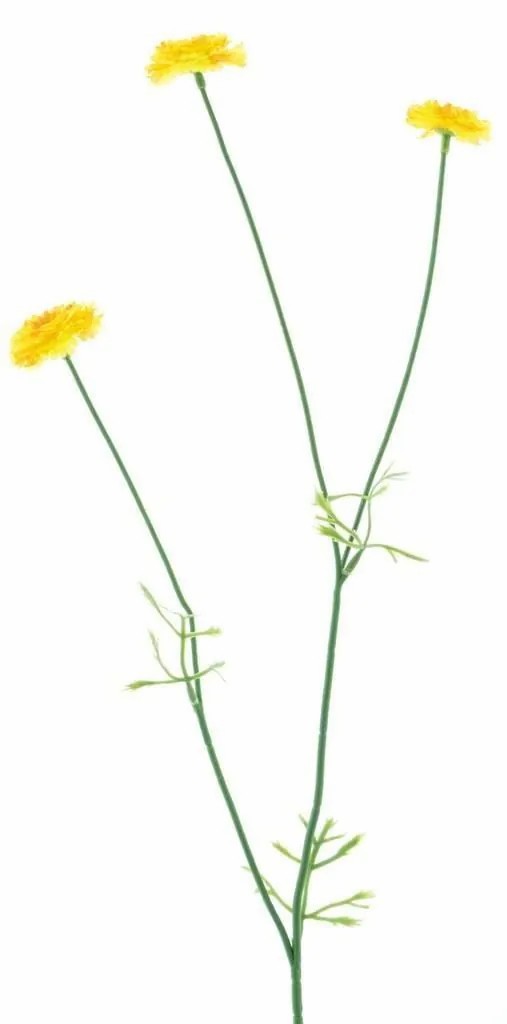 Daisies | Decorative Flower Branch Bellis Niksa, Yellow, 22"/55Cm Artificial Flowers Daisies