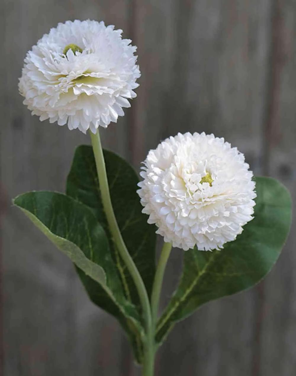 Daisies | Fake Daisies Syeda, White, 10"/25Cm Artificial Flowers Daisies