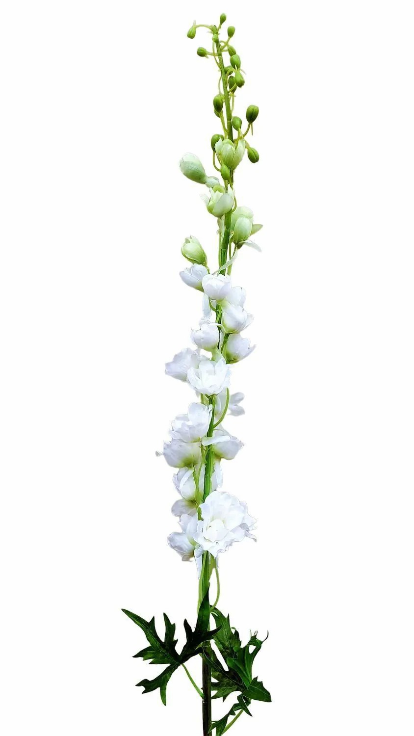 Delphinium | Fake Flower Delphinium Radunia, Cream-White, 3Ft/100Cm Artificial Flowers Delphinium