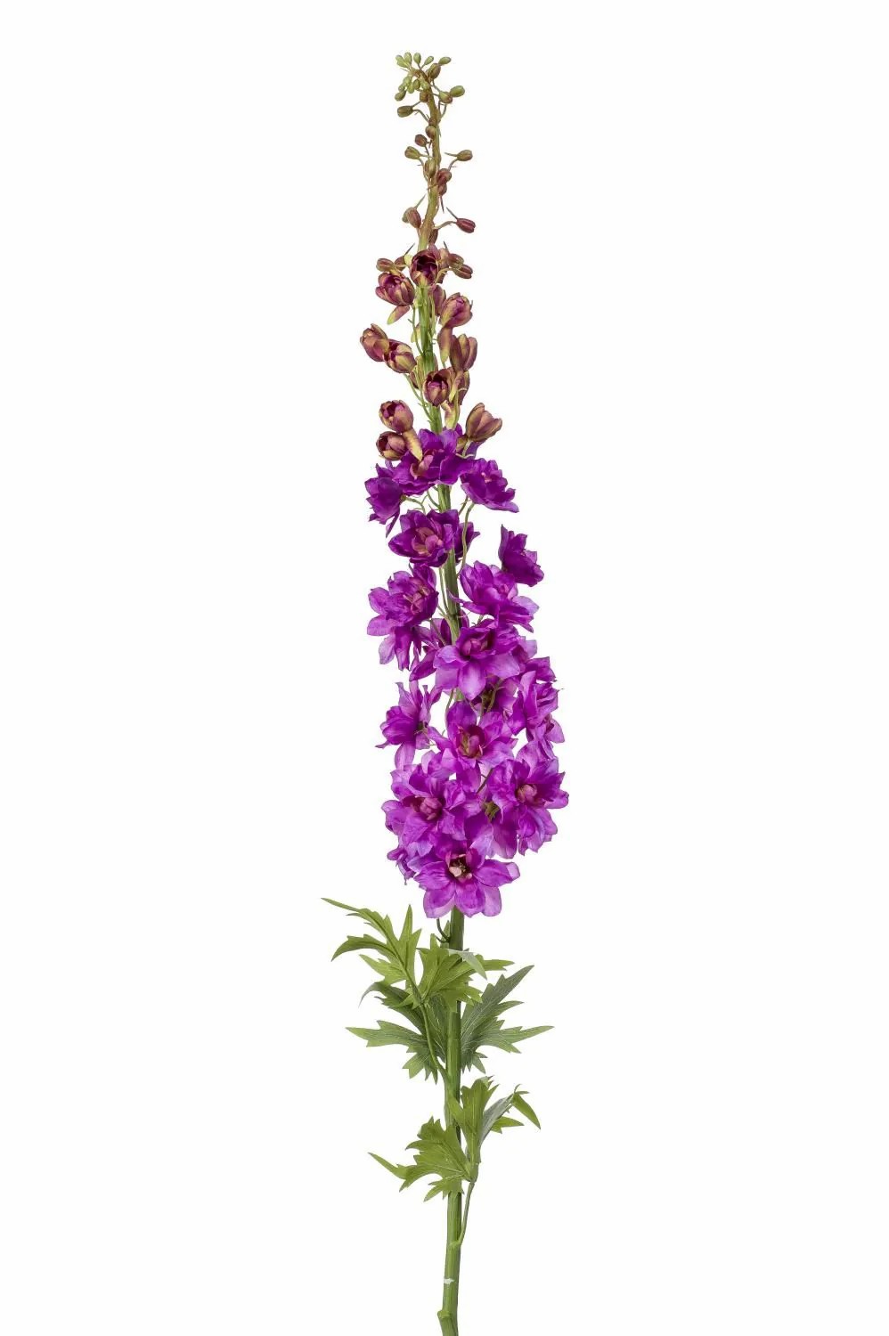 Delphinium | Silk Delphinium Szilvia, Purple, 4Ft/130 Cm Artificial Flowers Delphinium