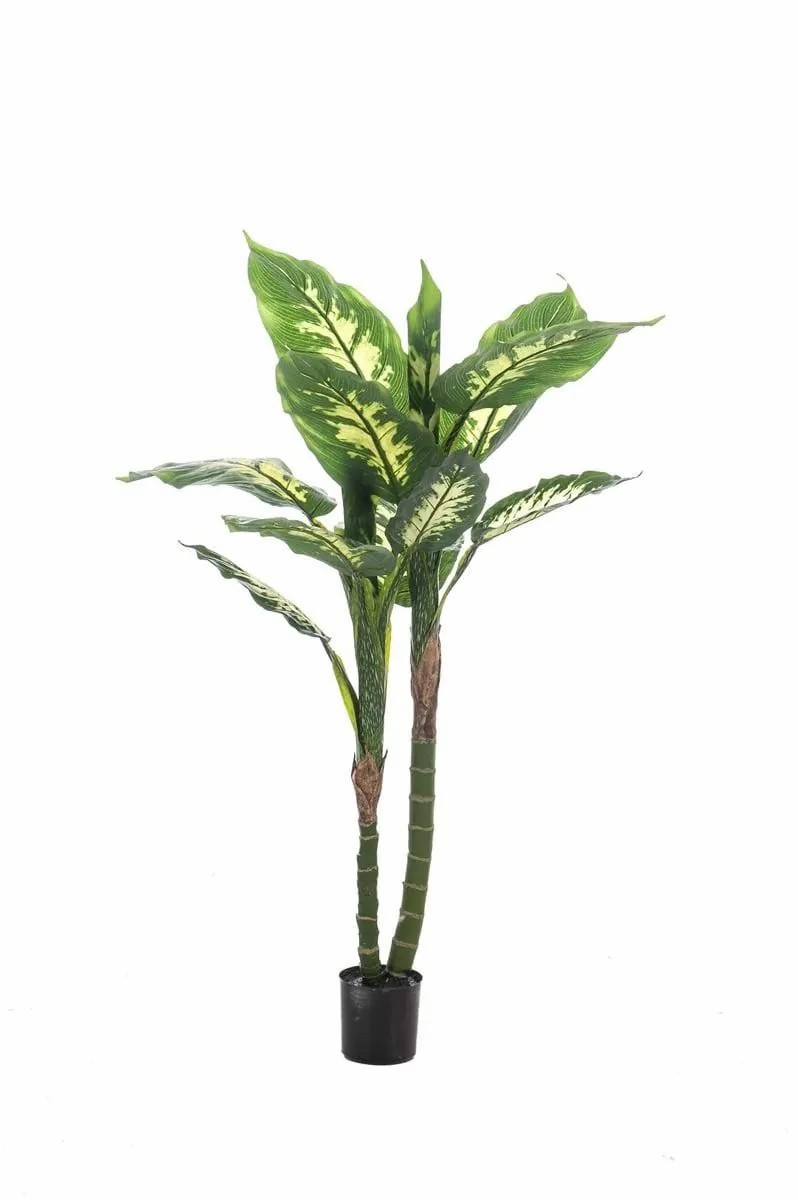 Dieffenbachia | Artificial Dieffenbachia Latrixa, Green-White, 4Ft/120Cm Artificial Plants Dieffenbachia