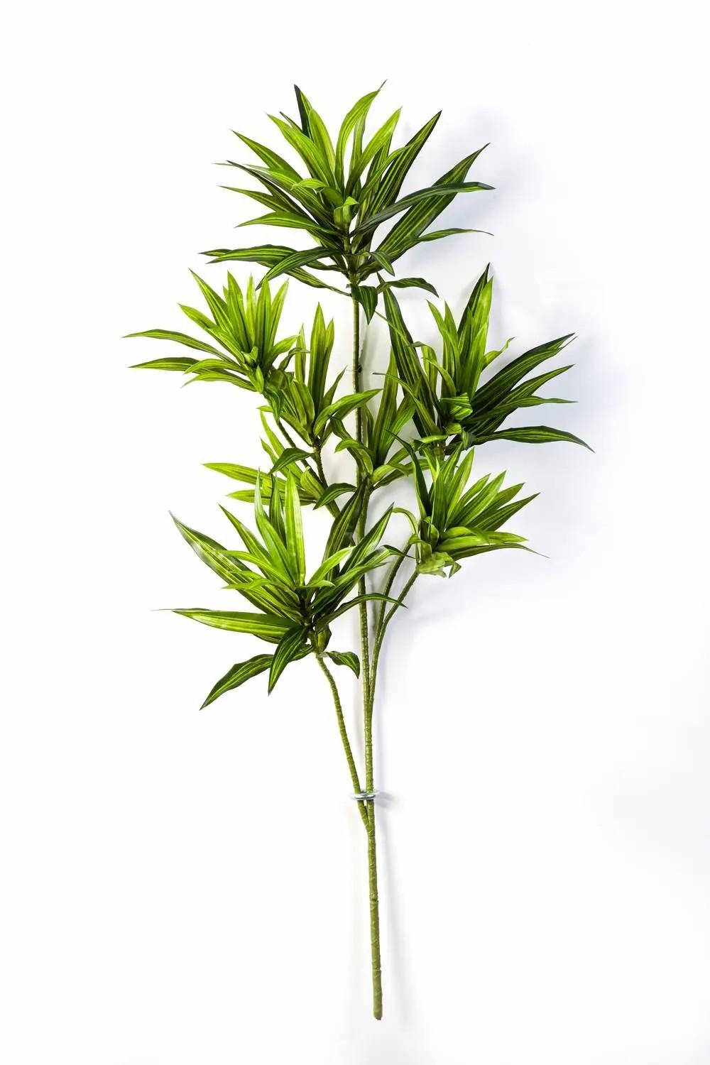 Dragon trees | Artificial Dracaena Reflexa Branch Mayra, Green, 31"/80Cm Artificial Trees Dragon trees