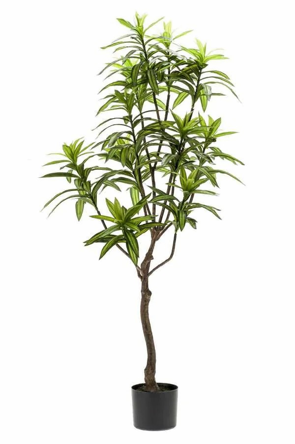 Dragon trees | Artificial Tree Dracaena Osaka, Green, 4Ft/130Cm Artificial Trees Dragon trees