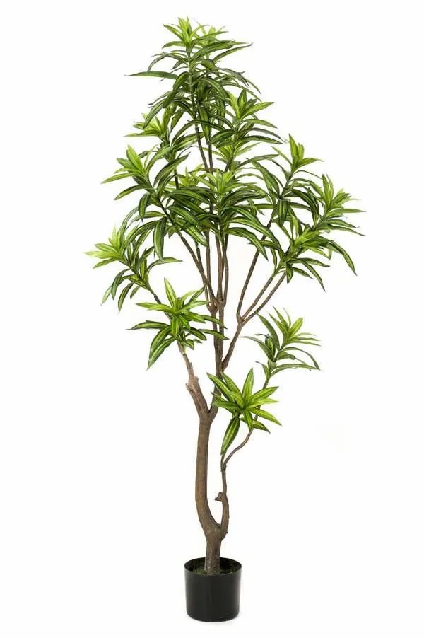 Dragon trees | Artificial Tree Dracaena Osaka, Green, 5Ft/155Cm Artificial Trees Dragon trees