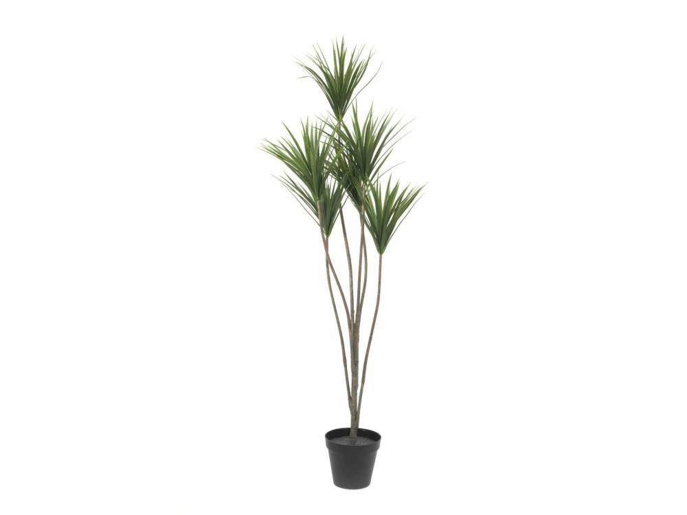 Dragon trees | Fake Dracaena Marginata Krishan, 4Ft/130Cm Artificial Trees Dragon trees