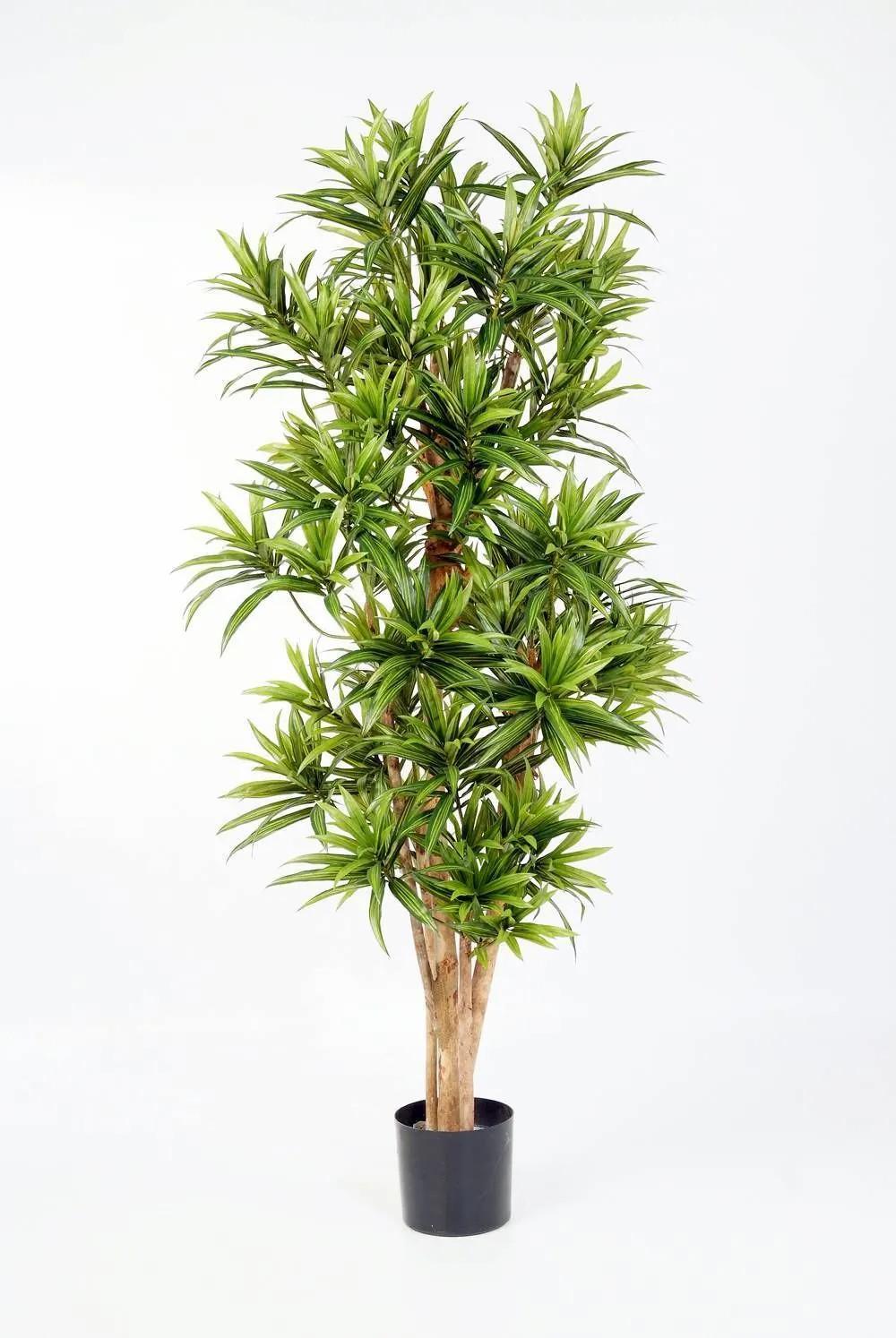 Dragon trees | Fake Dracaena Yasu, Real Stems, Flame-Resistant, Green, 5Ft/150Cm Artificial Trees Dragon trees