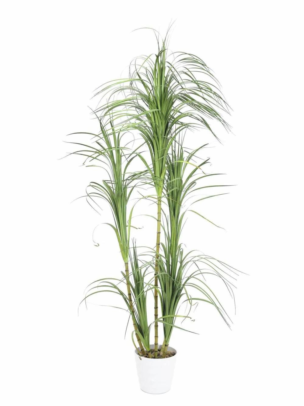 Dragon trees | Plastic Dracaena Dinara, Artificial Stems, Decorative Pot, Green, 7Ft/215Cm Artificial Trees Dragon trees