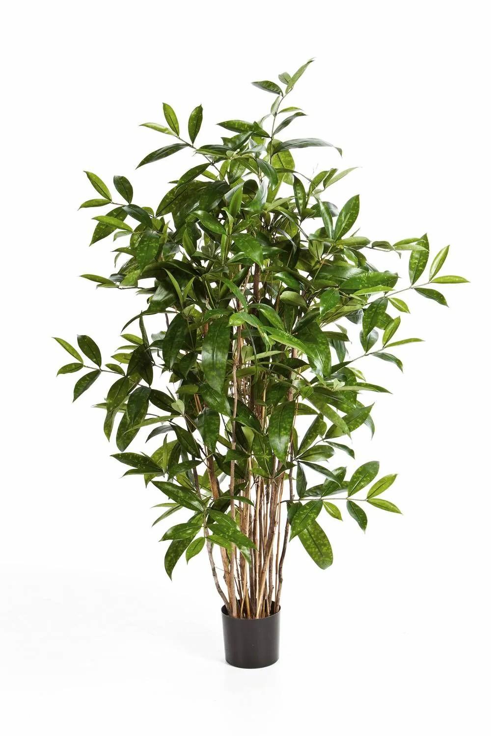 Dragon trees | Plastic Dracaena Surculosa Simba, Natural Stems, Green, 4Ft/120Cm Artificial Trees Dragon trees