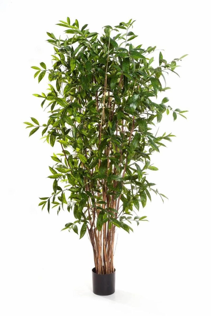 Dragon trees | Plastic Dracaena Surculosa Simba, Natural Stems, Green, 7Ft/210Cm Artificial Trees Dragon trees