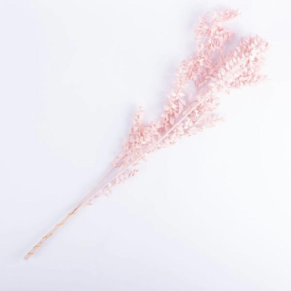 Dried flowers | Dried Ruscus Bunch Simonetta, Pink, 28"/70Cm Accessories Dried flowers