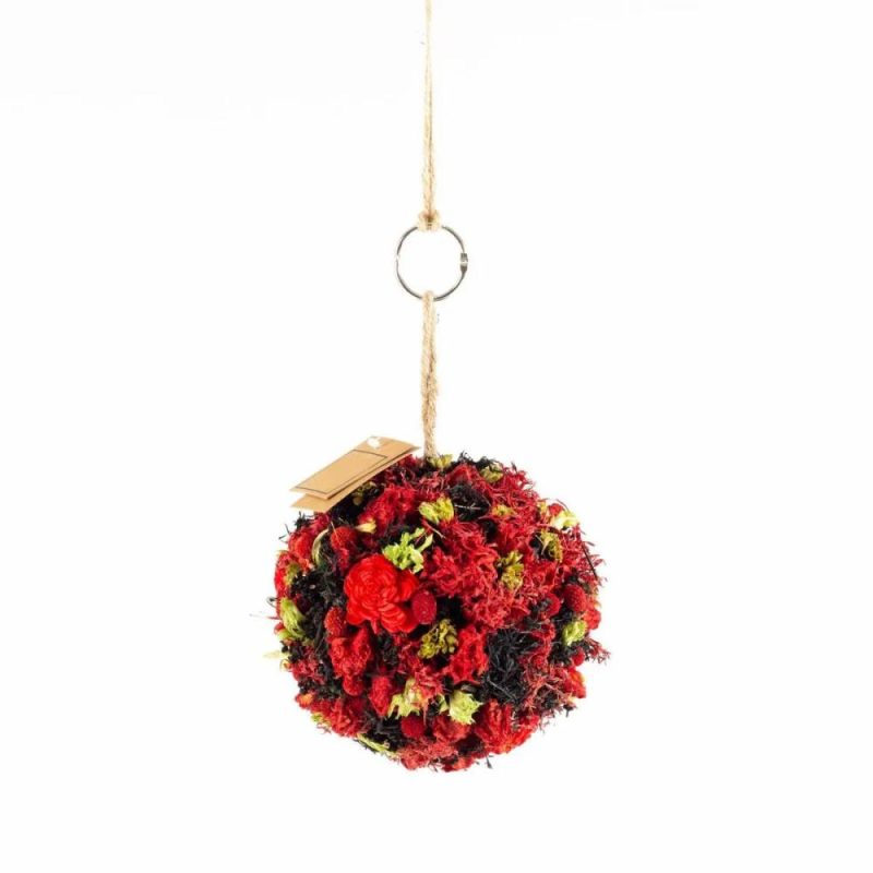 Dried flowers | Hanging Dried Flowers Ball Zoa With Loop, Red-Black, Ø14,5Cm Accessories Dried flowers