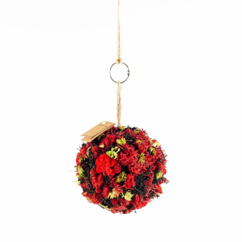 Dried flowers | Hanging Dried Flowers Ball Zoa With Loop, Red-Black, Ø14,5Cm Accessories Dried flowers