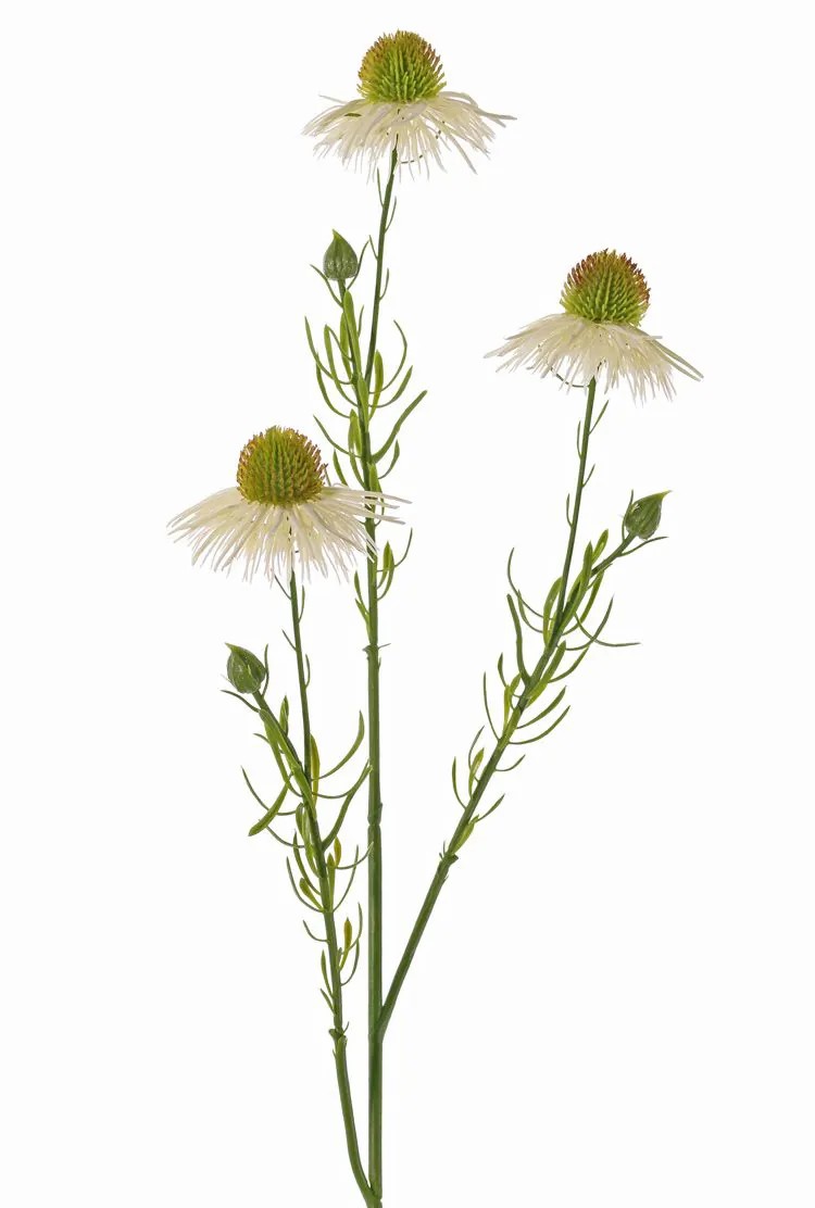 Echinacea | Artificial Coneflower Celio, Cream, 24"/60Cm, Ø2.4"/6Cm Artificial Flowers Echinacea