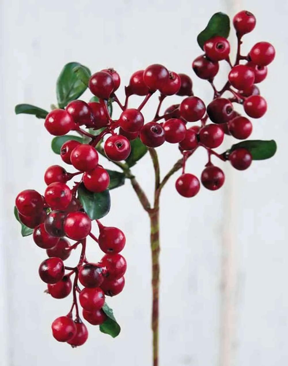 Elders | Artificial Elderberry Branch Irmina With Berries, Red, 14"/35Cm Artificial Plants Elders