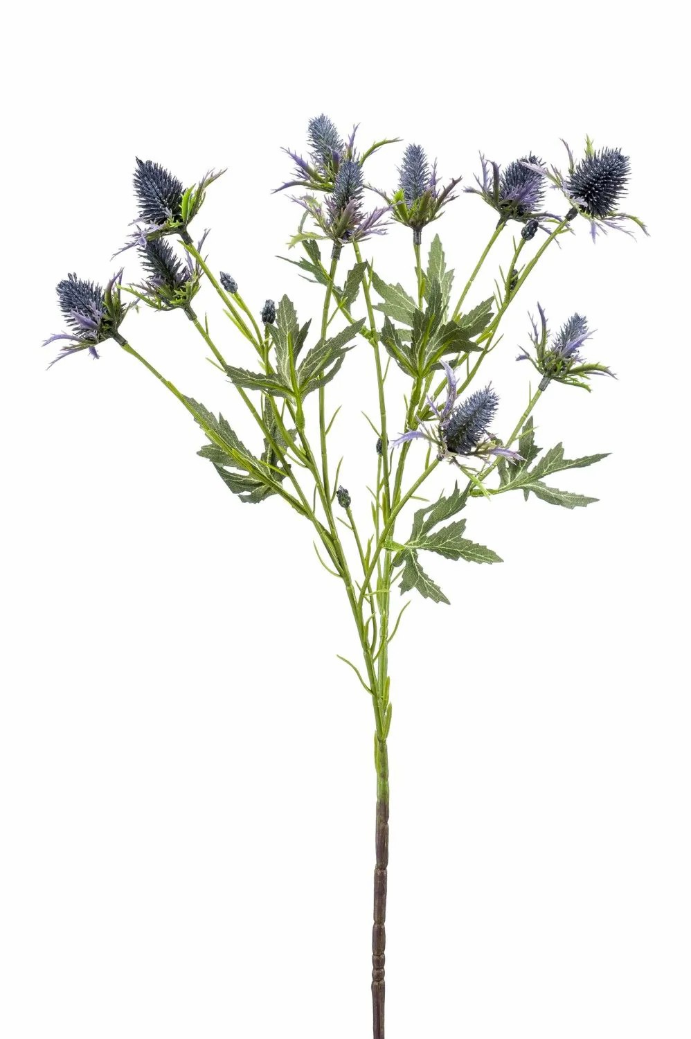 Eryngium | Artificial Eryngium Branch Cuacos, Blue, 28"/70Cm Artificial Flowers Blue