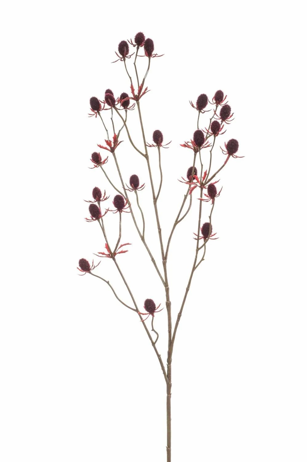 Eryngium | Artificial Thistle Loukas, Dark Red, 28"/70Cm, Ø0.6"/1,5Cm Artificial Flowers Eryngium