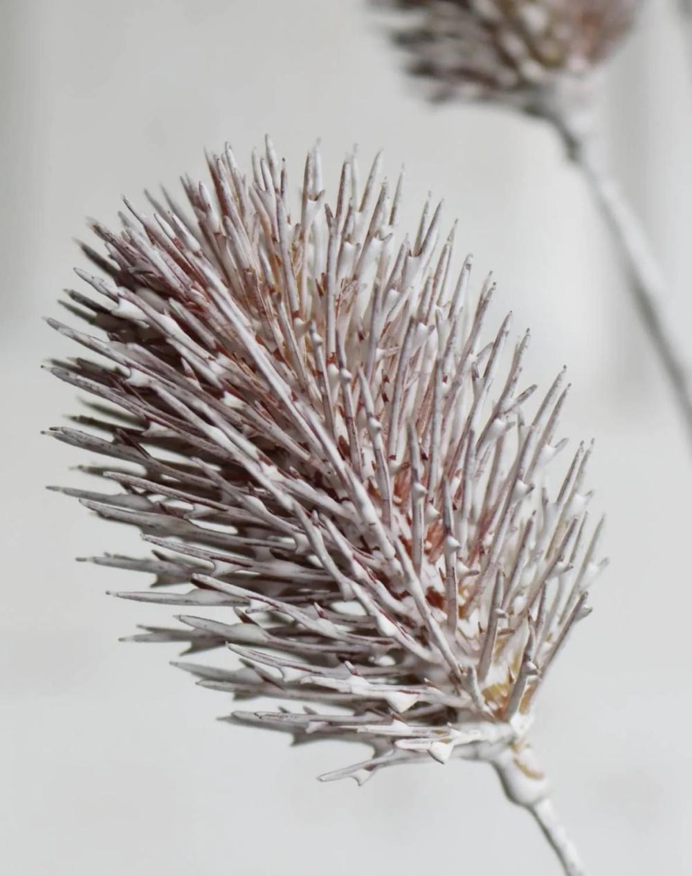 Eryngium | Artificial Thistle Steen, Cream-Pink, 31"/80Cm, Ø1.2"-1.6"/3-4Cm Artificial Flowers Eryngium