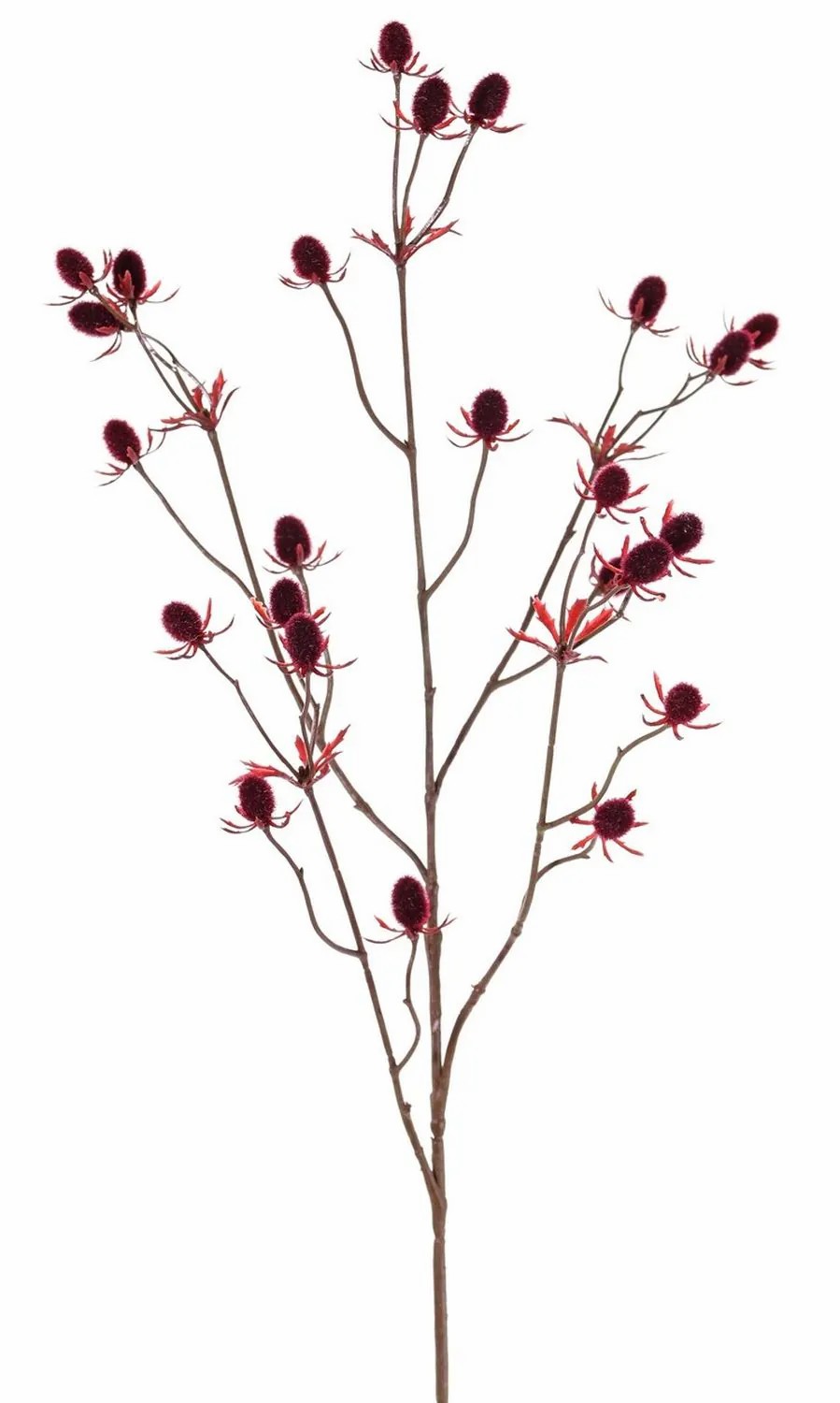 Eryngium | Fake Thistle Spray (Eryngium) Loukas, Burgundy Red, 28"/70Cm, Ø0.6"/1,5Cm Artificial Flowers Eryngium