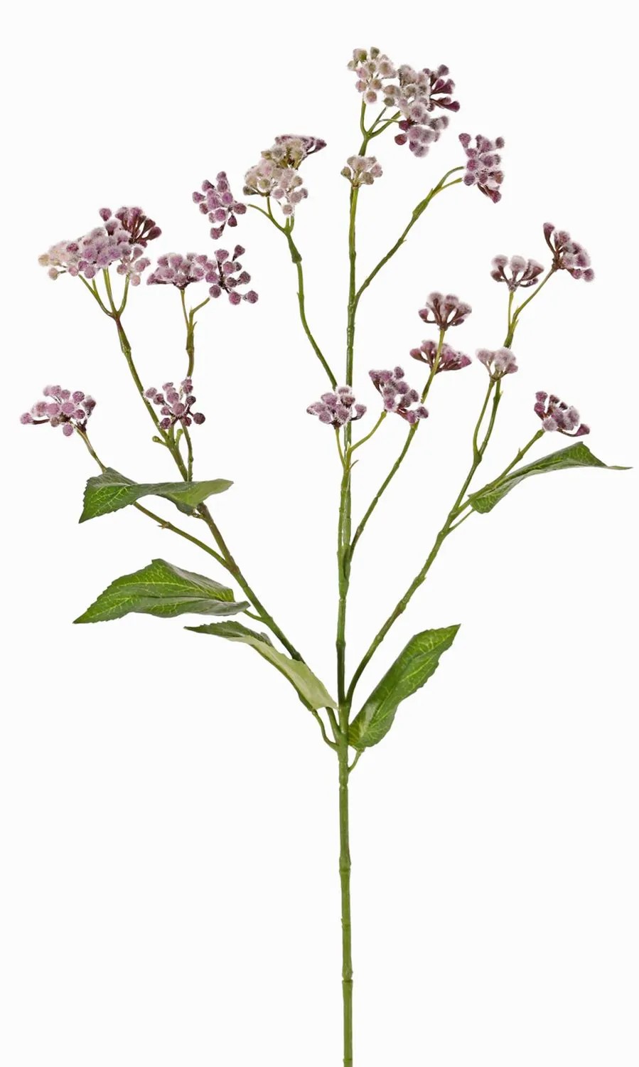 Eupatorium | Artificial Eupatorium (Boneset) Koralia, Purple, 31"/80Cm Artificial Flowers Eupatorium