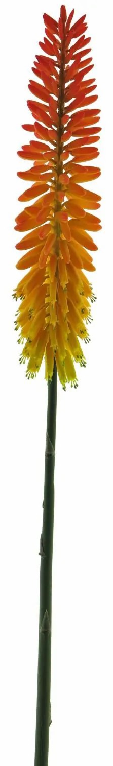 Fackellilie | Artificial Kniphofia Qiumin, Orange, 33"/85Cm Artificial Flowers Fackellilie