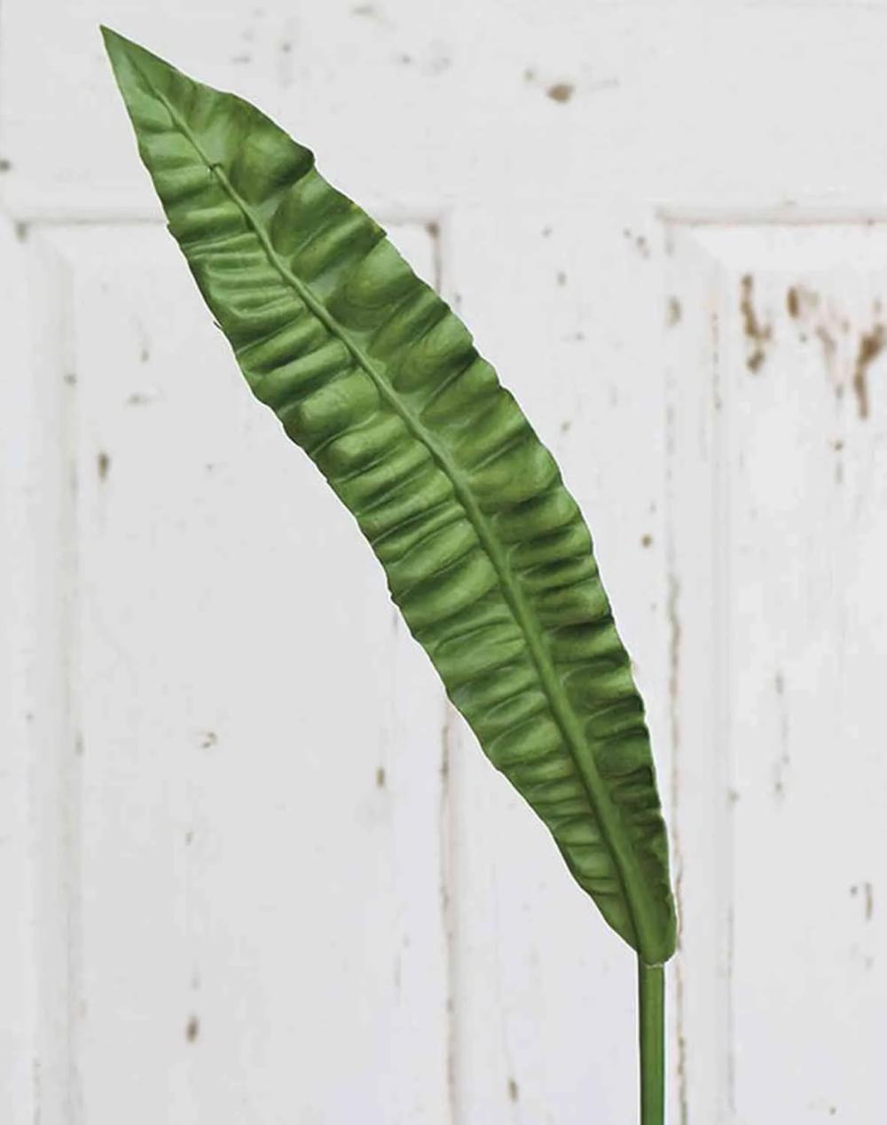 Ferns | Artificial Bird’S Nest Fern Leaf Chopin, Green, 3Ft/95Cm Artificial Plants Ferns