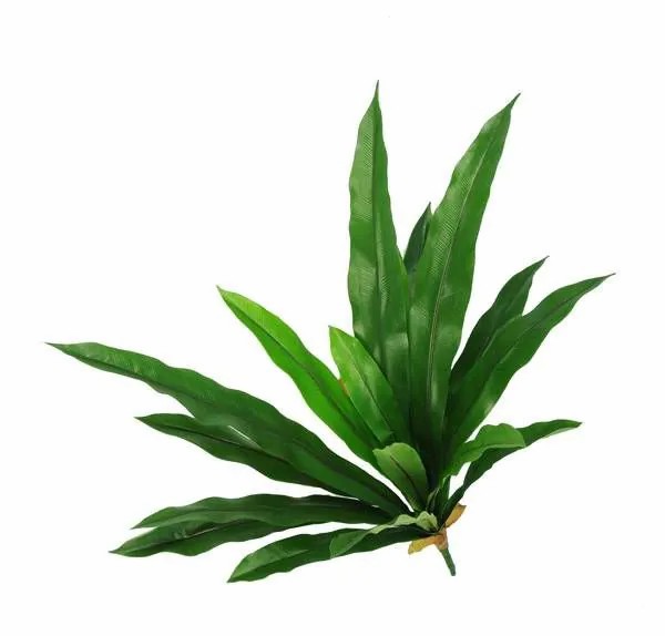 Ferns | Artificial Bird’S-Nest Fern Souta, Spike, Crossdoor, Green, 30"/75Cm, Ø26"/65Cm Artificial Plants Ferns