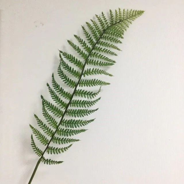 Ferns | Artificial Boston Fern Leaf Cody, Green, 3Ft/100Cm Artificial Plants Ferns