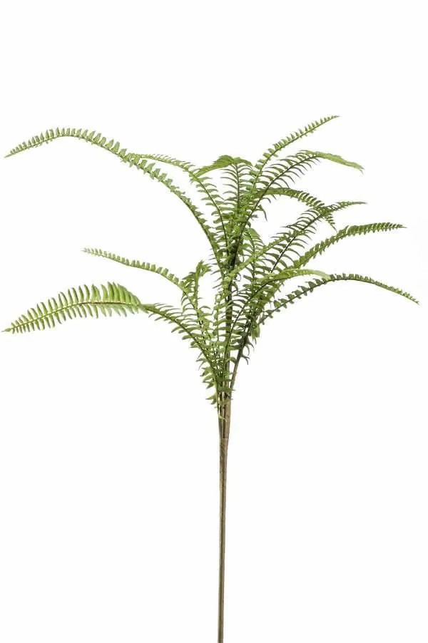 Ferns | Artificial Boston Fern Spray Ampelio, Green, 24"/60Cm Artificial Plants Ferns