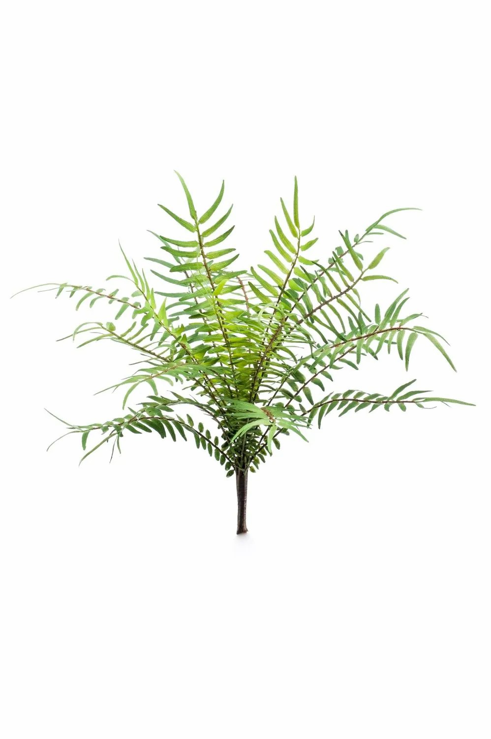 Ferns | Artificial Deer Fern Cascot On Spike, Green, 10"/25Cm Artificial Plants Ferns