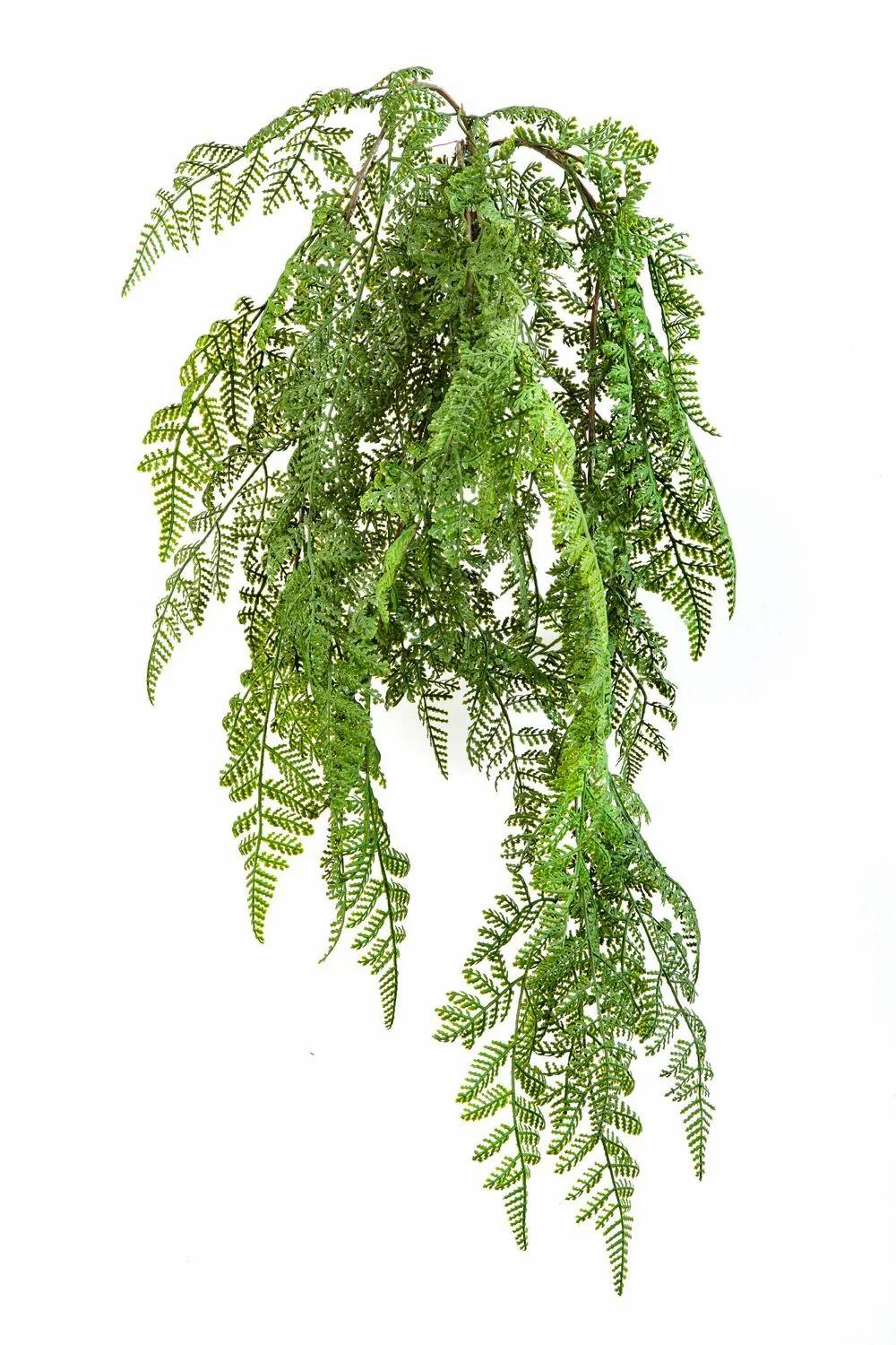 Ferns | Artificial Eagle Fern Arches On Spike, Green, 24"/60Cm Artificial Plants Ferns