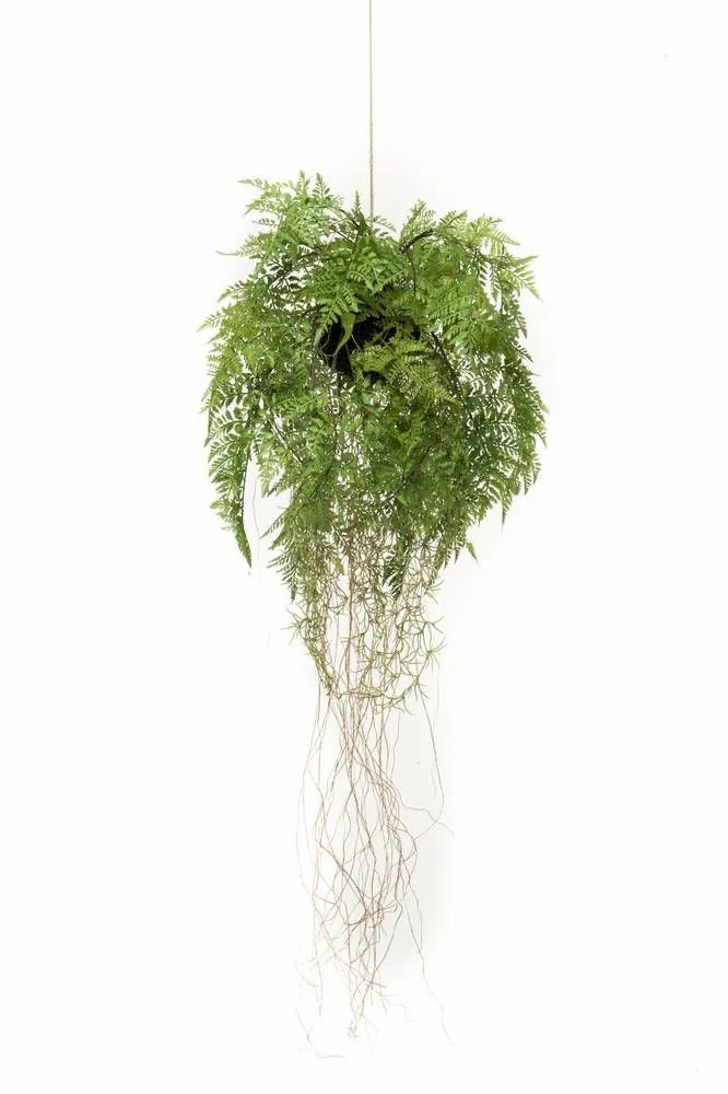 Ferns | Artificial Hanging Basket With Boston Fern Nilo, Soil Ball, Roots, 28"/70Cm, Ø14"/35Cm Artificial Plants Ferns