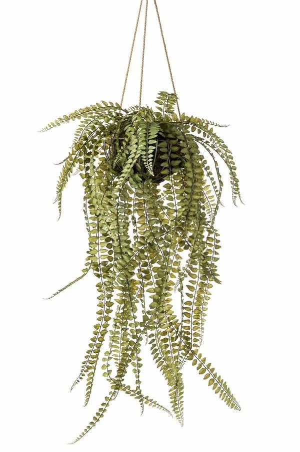 Ferns | Artificial Hanging Basket With Maidenhair Fern Samiel, Green, 3Ft/95Cm, Ø 22"/55Cm Artificial Plants Ferns