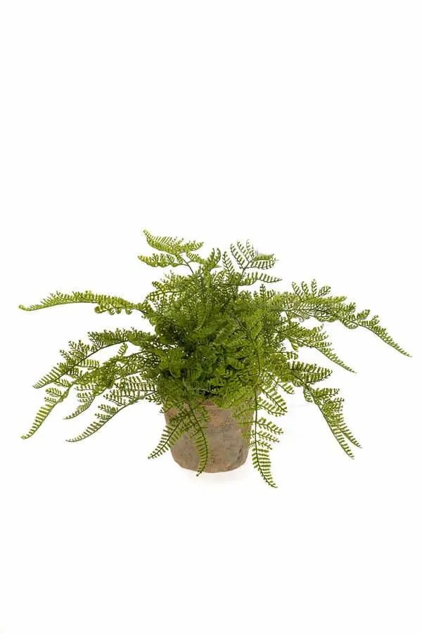 Ferns | Artificial Lady Fern Mellea In Terracotta Pot, Green, 10"/25Cm Artificial Plants Ferns