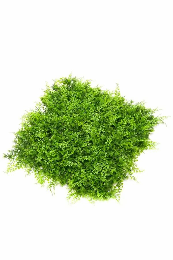 Ferns | Artificial Maidenhair Fern Mat / Hedge Pieter, Crossdoor, Green, 20"X20"/50X50Cm Artificial Plants Ferns