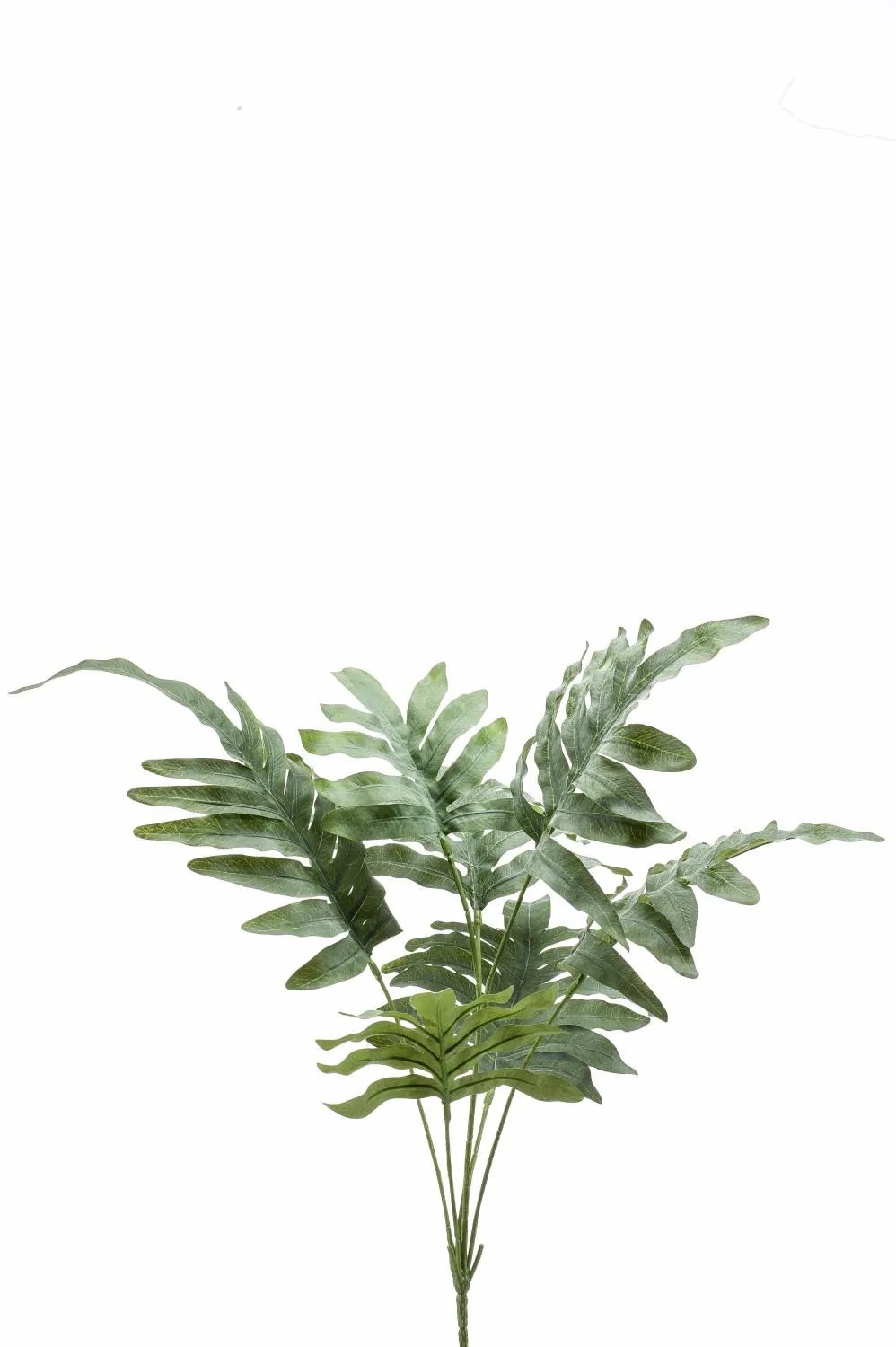 Ferns | Artificial Phlebodium Scorpi On Stick, Green-Grey, 26"/65 Cm Artificial Plants Ferns