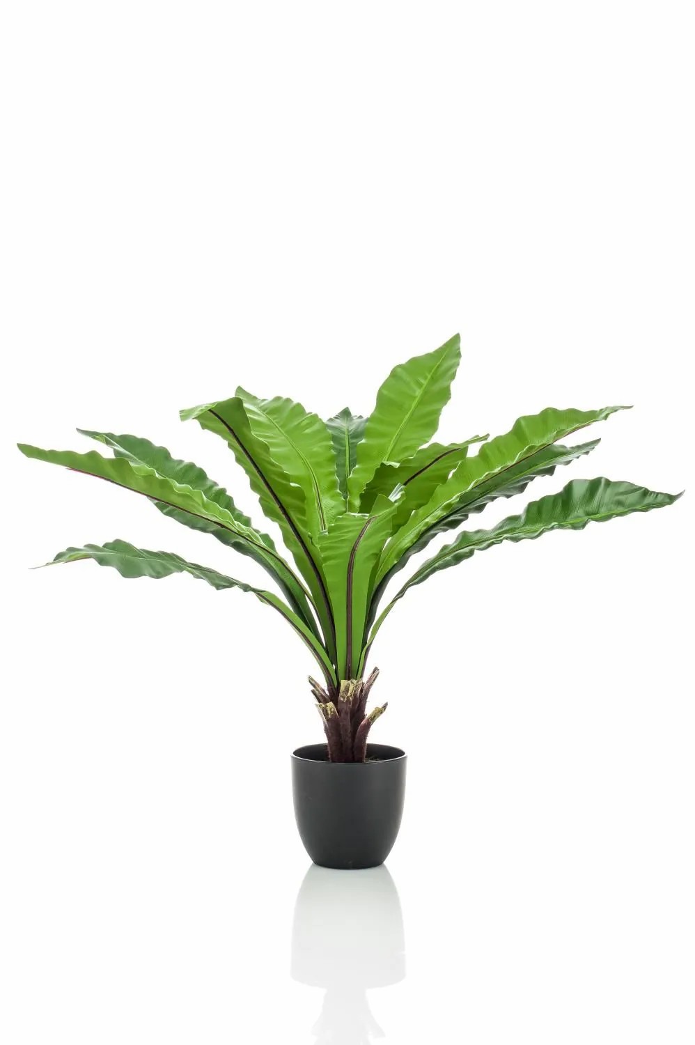 Ferns | Artificial Spleenwort Dalida In Decorative Pot, Green, 30"/75Cm Artificial Plants Ferns