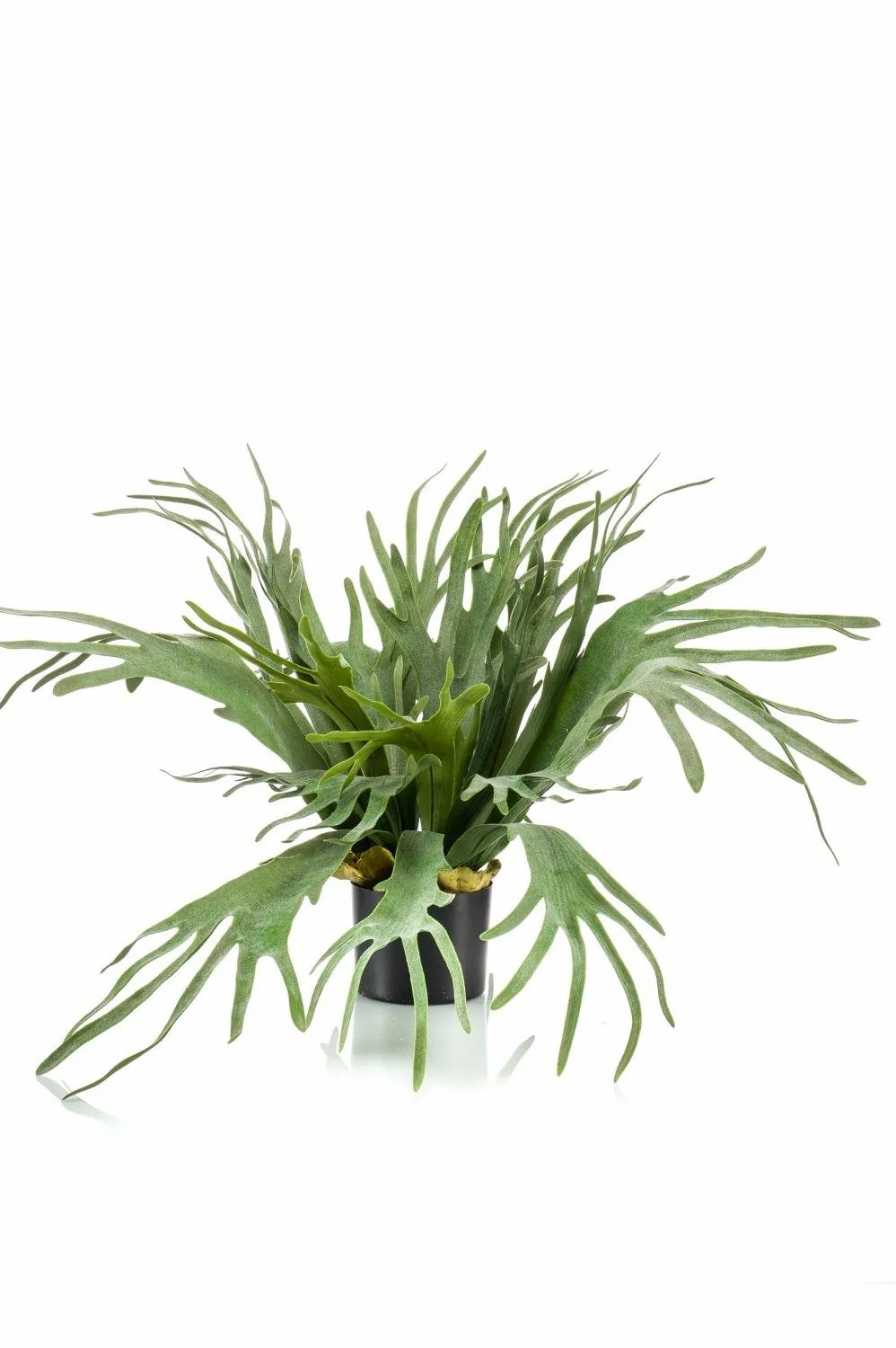 Ferns | Artificial Staghorn Fern Boal, Green, 26"/65Cm Artificial Plants Ferns