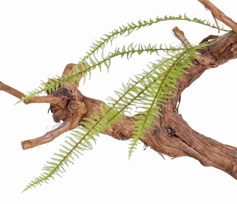 Ferns | Fake Boston Fern Spray Bento, Green, 28"/70Cm Artificial Plants Ferns