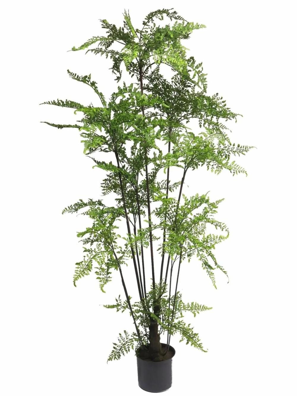 Ferns | Fake Leather Fern Plant Jiyang, Artificial Trunk, Green, 5Ft/150Cm Artificial Plants Ferns