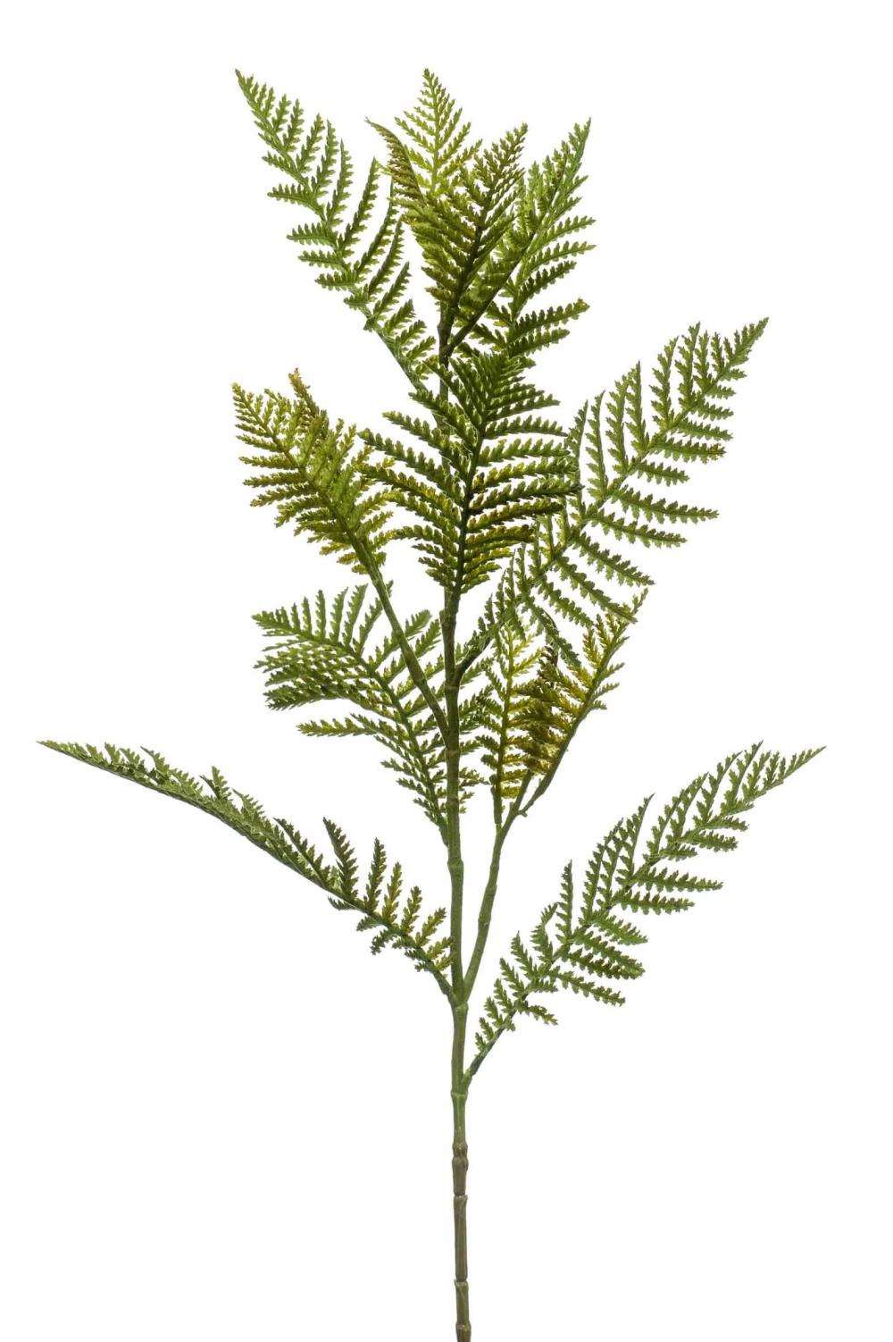 Ferns | Plastic Boston Fern Spray Enrike, Green, 31"/80Cm Artificial Plants Ferns