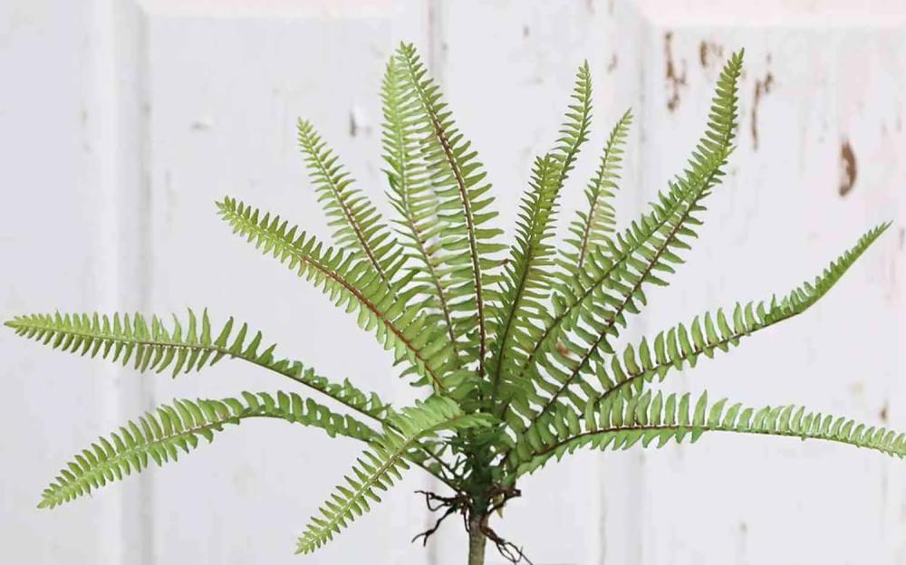 Ferns | Plastic Royal Fern Gypsy On Spike, Green, 12"/30Cm, Ø12"/30Cm Artificial Plants Ferns