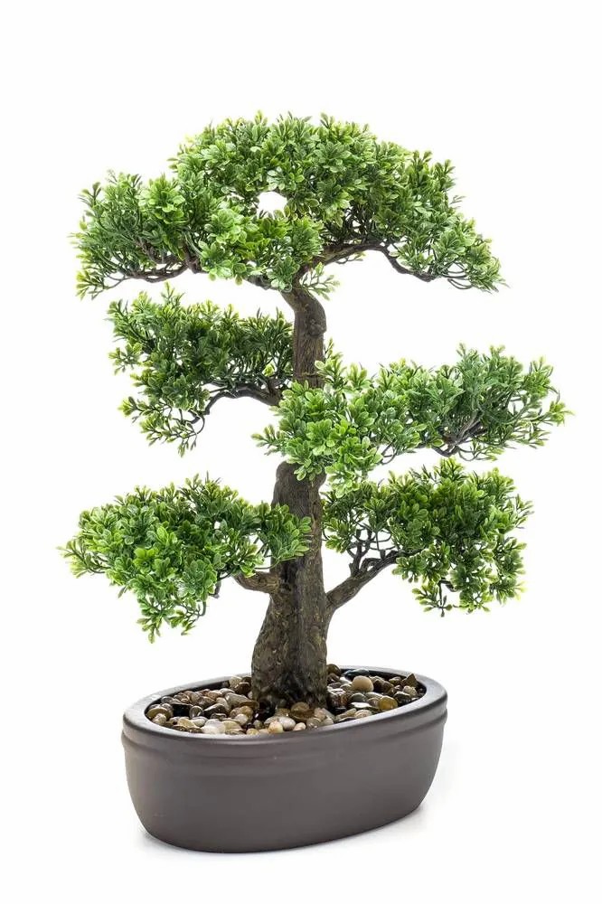 Ficus tree | Artificial Bonsai Ficus Romilda In Planter, 18"/45Cm Artificial Trees Bonsai trees